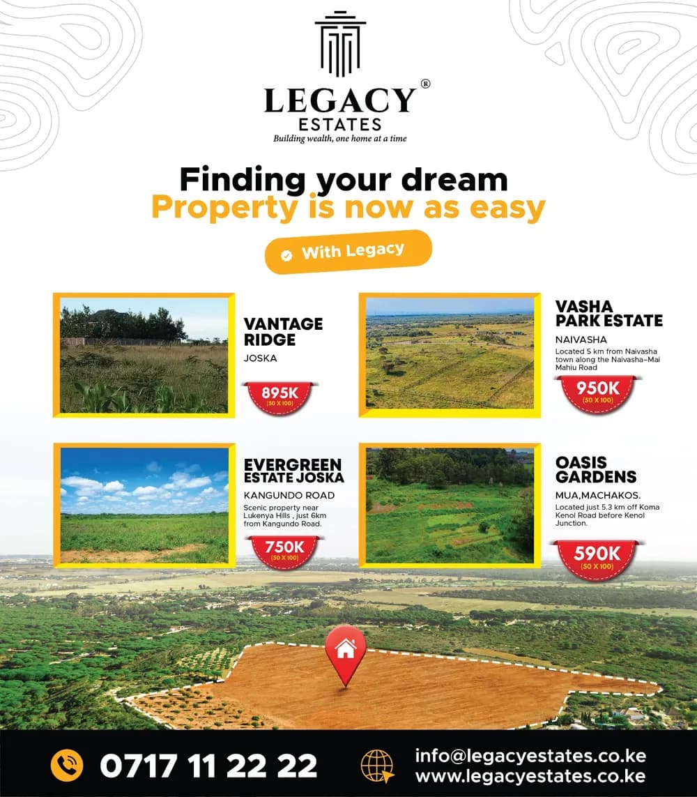 Finding your dream property: projects overview