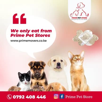 Prime Pet Store promotion