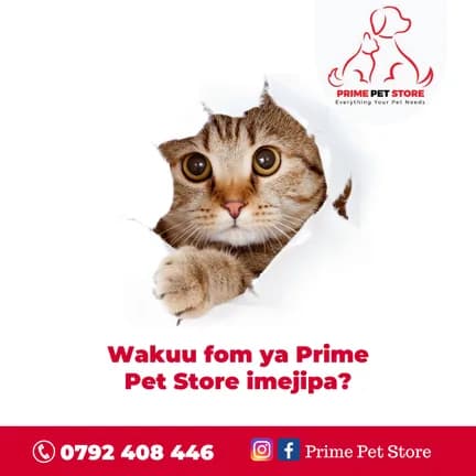 Prime Pet Store poster